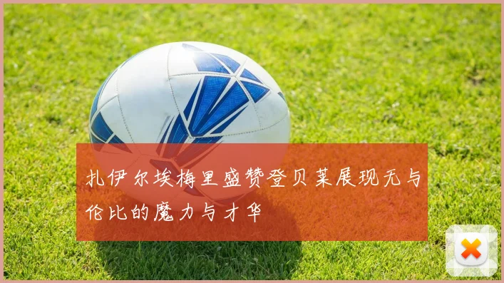 扎伊尔埃梅里盛赞登贝莱展现无与伦比的魔力与才华